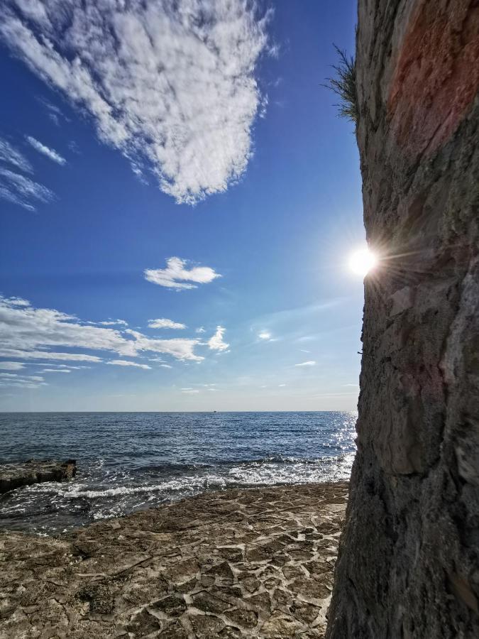 Ivan B&B, 5 Star Superior Room, Near The See And Park Novigrad Istria Exteriör bild